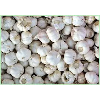 Natural Garlic 